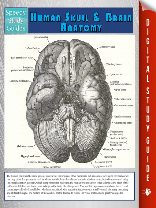 Title details for Human Skull and Brain Anatomy by Speedy Publishing - Available
